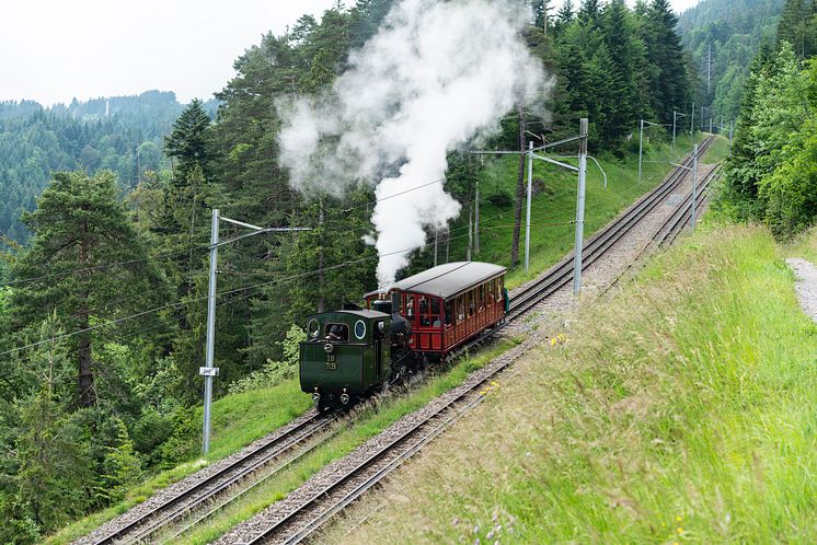 Rigibahn