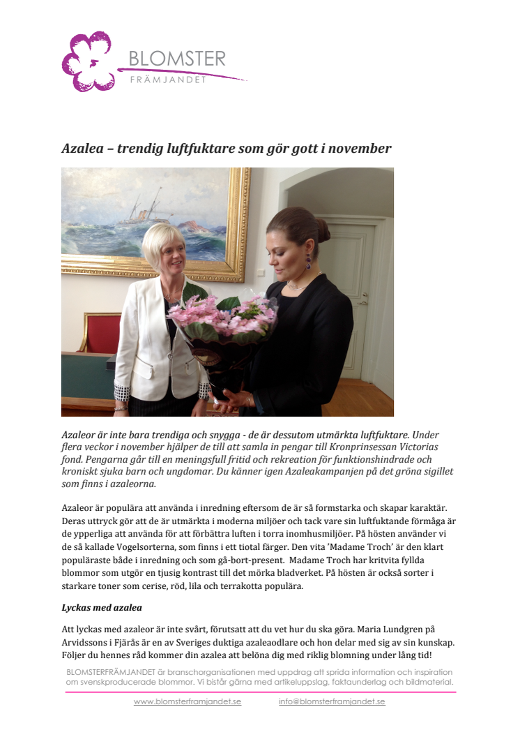 ​Azalea – trendig luftfuktare som gör gott i november