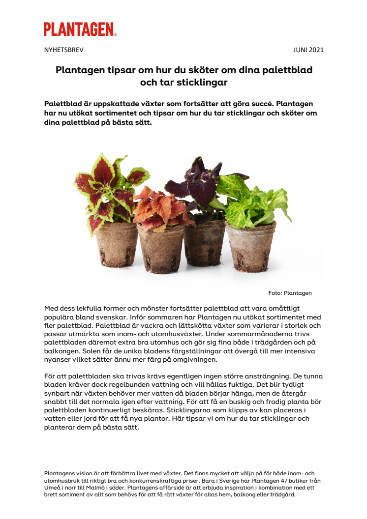 NYHETSBREV - Plantagen tipsar om hur du sköter om dina palettblad och tar sticklingar.pdf
