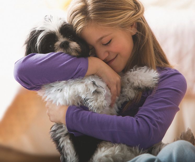 Winterzeit ist Kuschelzeit - aber ein paar "Regeln" gilt es zwischen Mensch und Tier zu beachten