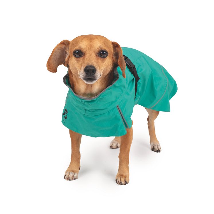144024_Basic Oceanic raincoat turquose dog.jpg