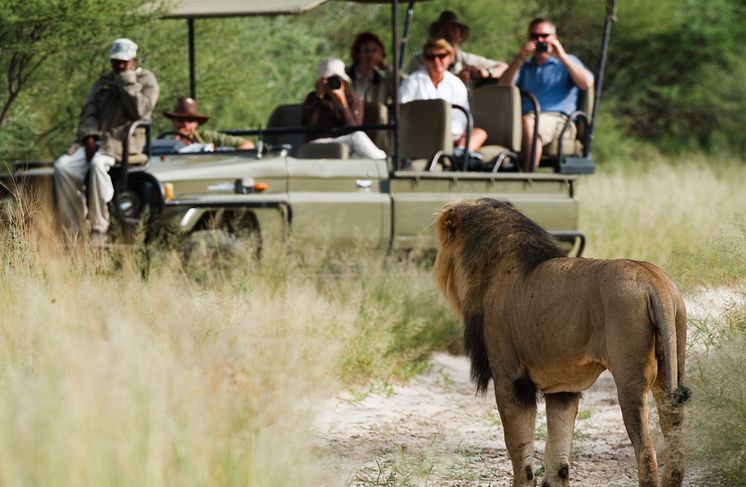 Deception Valley Lodge - Game Drive (3)