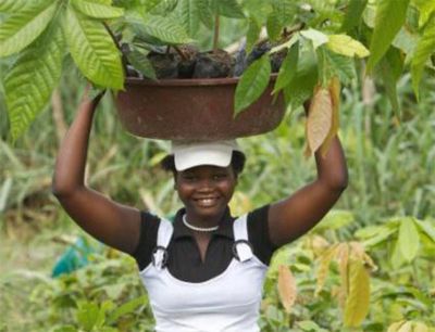 Nestlé Cocoa Plan hjälper världens kakaoodlare