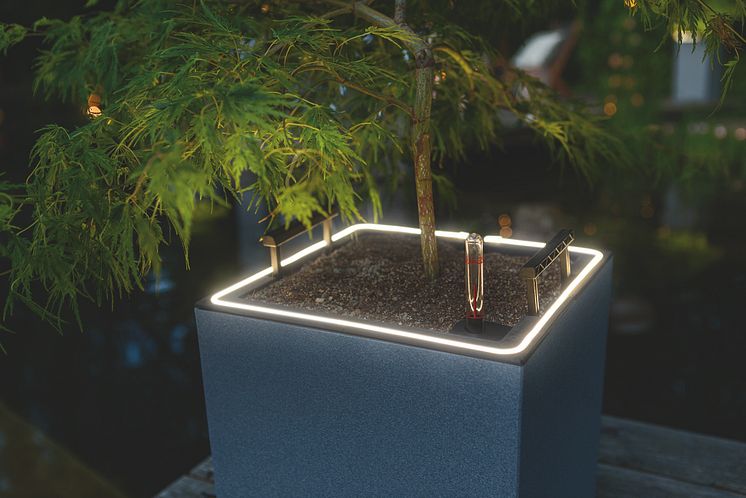 CANTO Stone LED von LECHUZA setzt die Pflanzen mit einem atmosphärischen Licht ins Szene.