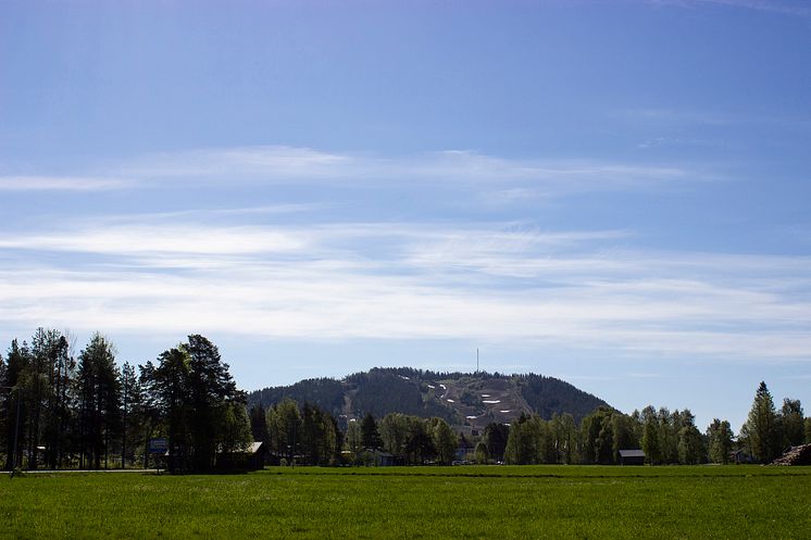 Tjamstan i Malå