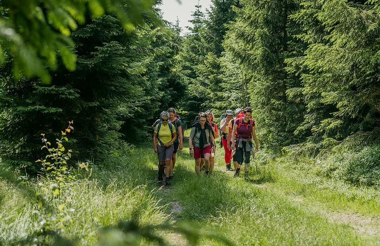 Gruppenwanderung_Oberwiesenthal_Foto TVE_Dirk_Rueckschloss.jpg