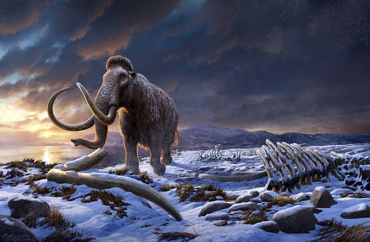 LastWrangelMammoth_(by Beth Zaiken)_Web.jpg