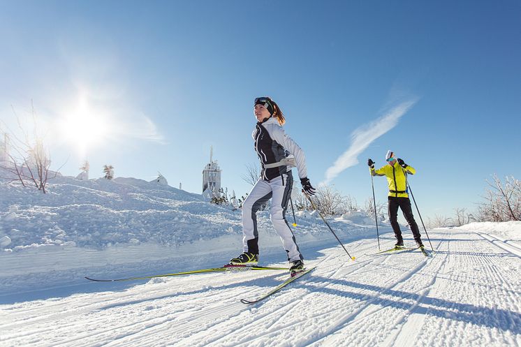 Langlauf im Erzgebirge 