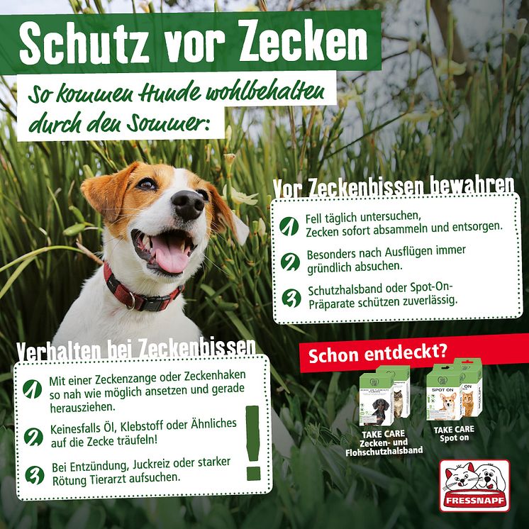 Infografik: Zeckenschutz beim Hund