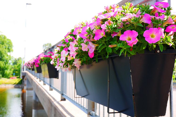 Blommor vid Sandgrundsbron