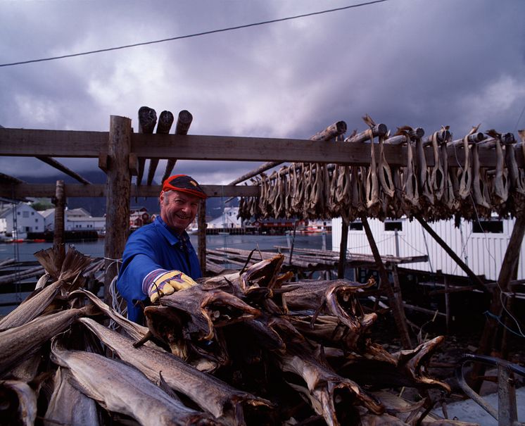 Stockfish at Hamnøy- Photo - Frithjof Fure - VisitNorway.com