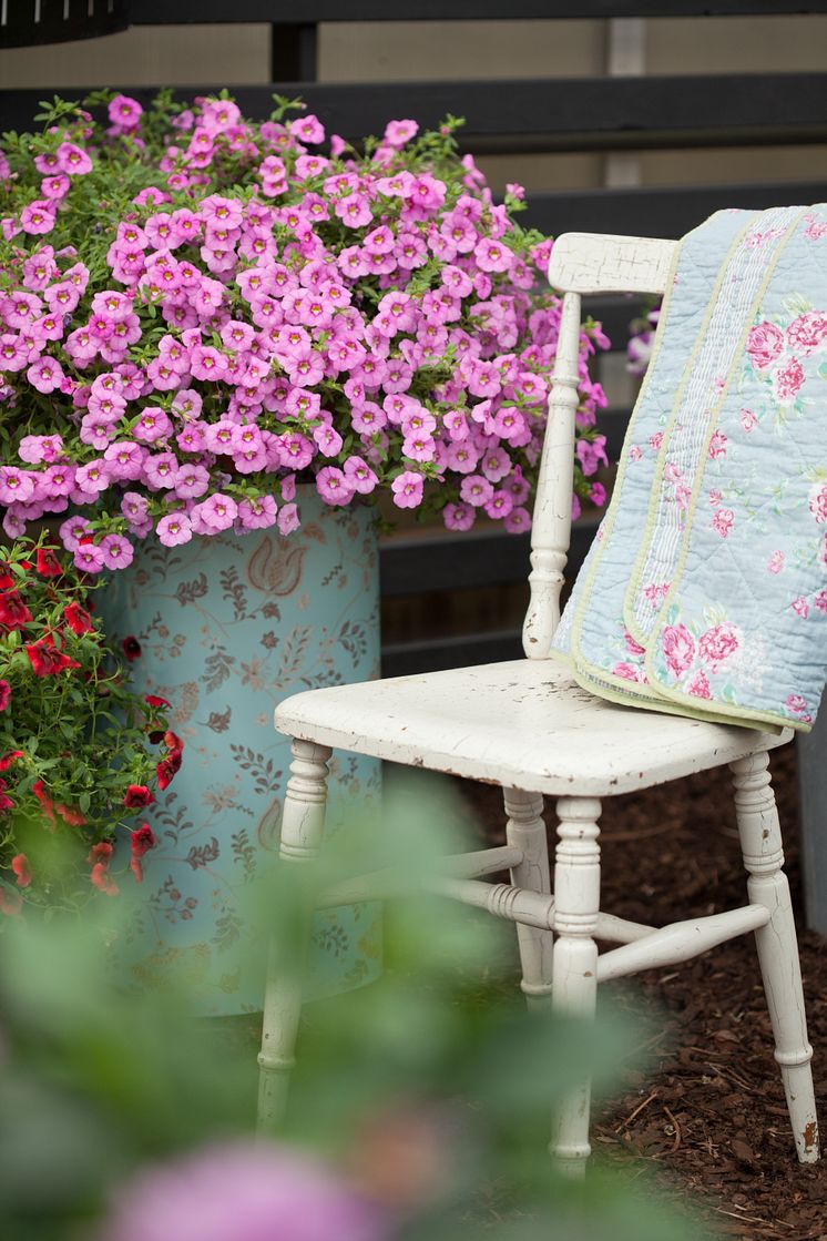 Småpetunia 'Hot Pink' ger härlig blomning.