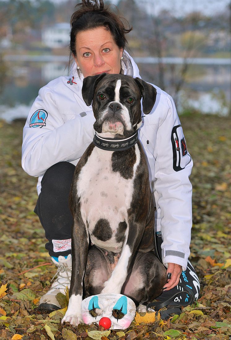 Ollie är Årets bragdhund 2016