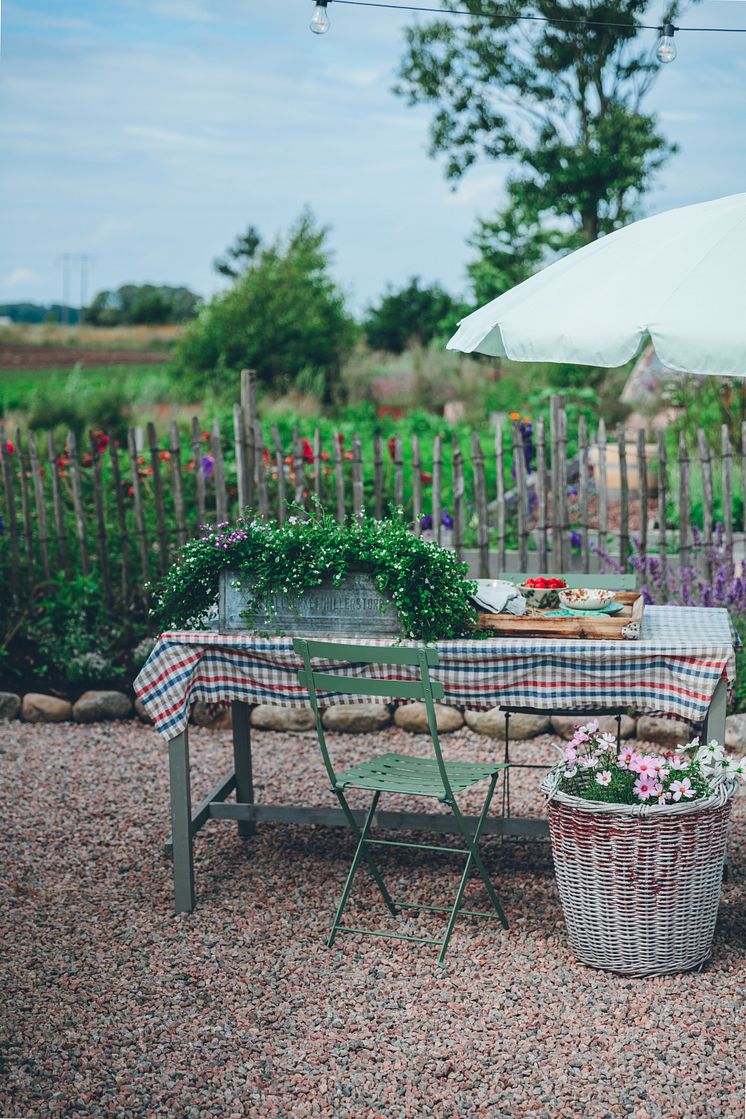 sommarblommor