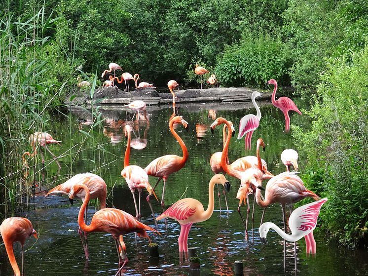 Tierischer Spaß im Zoo Schwerin