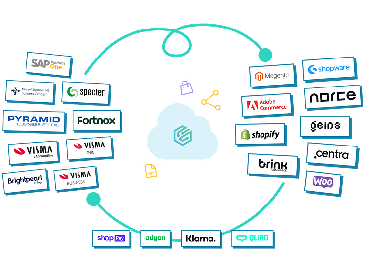 intro-erp-ecom-payment