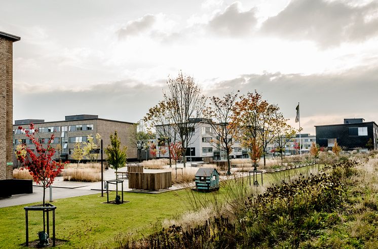 Sønderparken, Fredericia