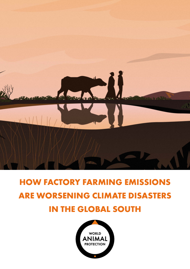 Report Factory Farming and Climate Induced Weather Disasters.pdf