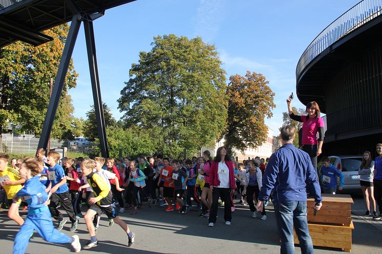 Sponsorenlauf in Oschatz: Thomas-Mann-Gymnasium läuft für Bärenherz