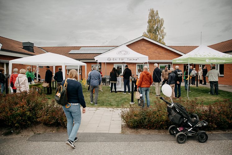 Öppet Hus