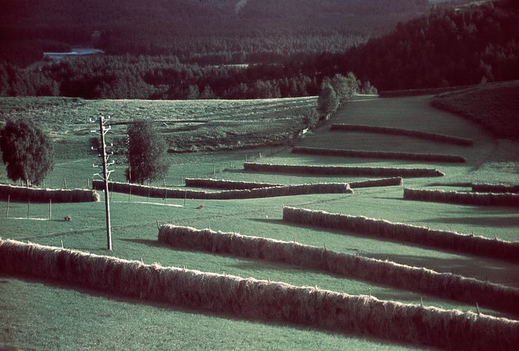 Höhässjor 1939. Foto: Gunnar Lundh ©Nordiska museet