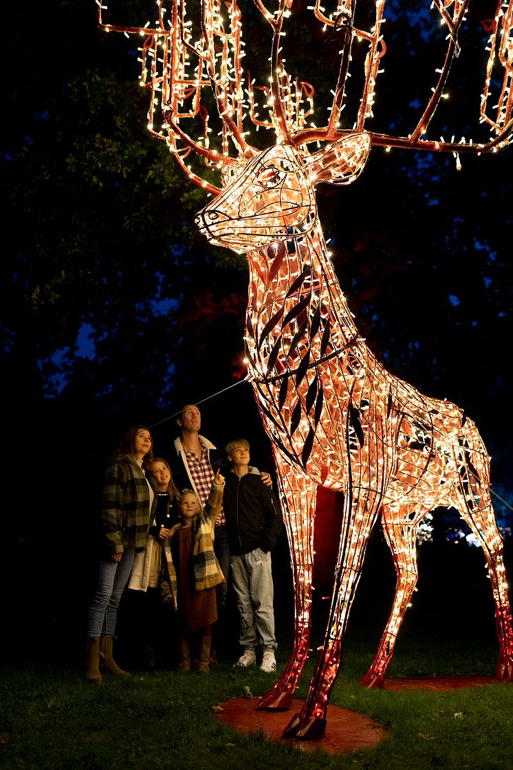 LUMAGICA mit eindrucksvollen Lichtinszenierungen(c)MK Illumination