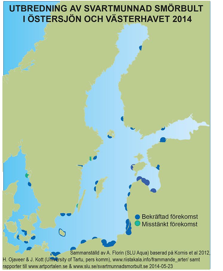 Invasiv fiskart ökar snabbt i Sverige: "Nya fynd  i Göteborg och vid Öland"