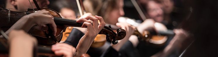  People playing violin inside dim room photo