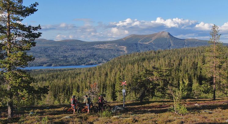 Stigcykling på Lofsdalens södra fjäll