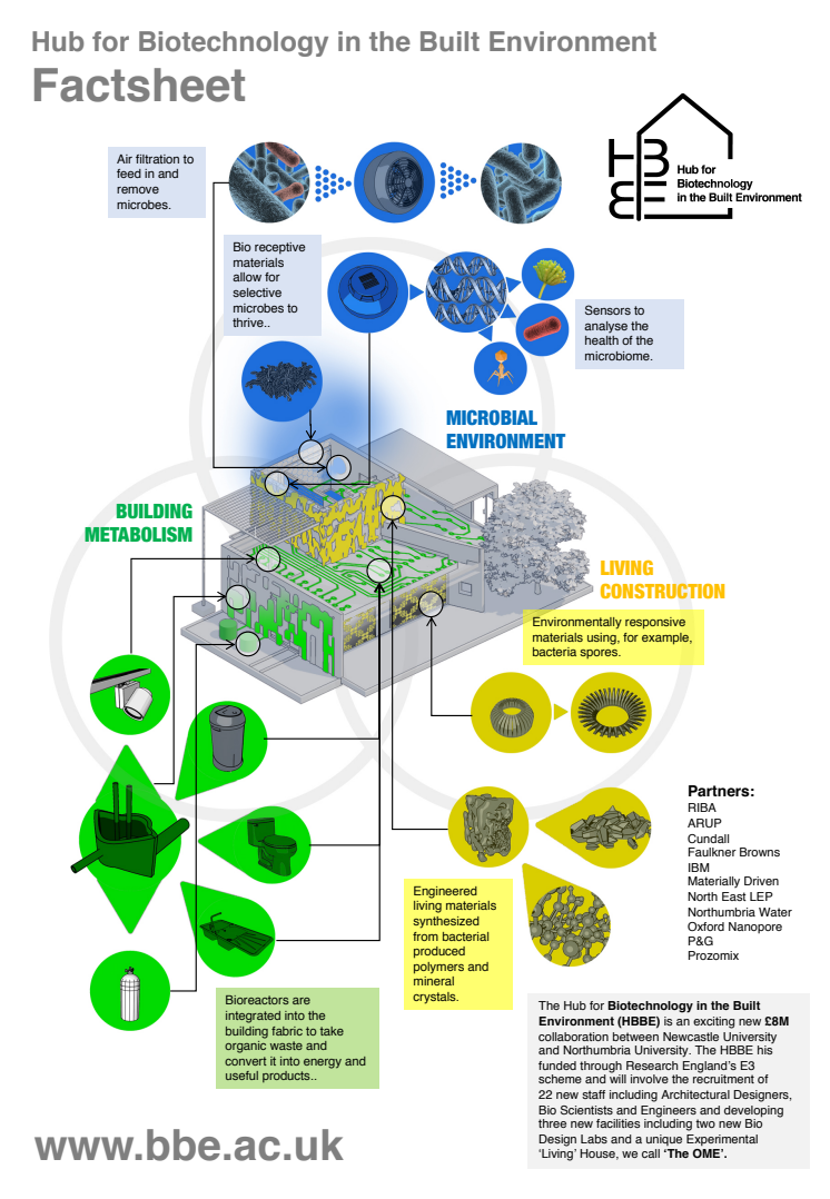 HBBE Fact Sheet