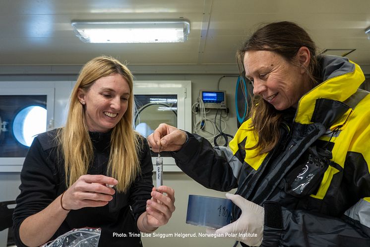 20240808_Credit_TrineLiseSviggumHelgerud_NorwegianPolarInstitute_Polhavstoktet2024-6.jpg