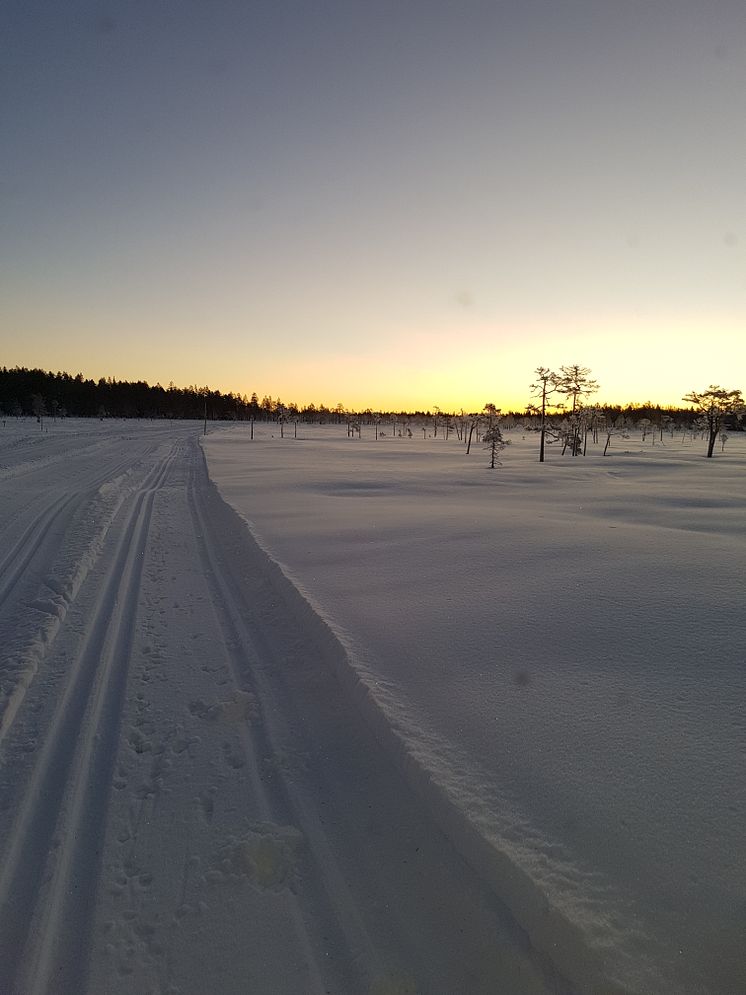 Natursnö i Vasaloppsarenan  11 januari 2018