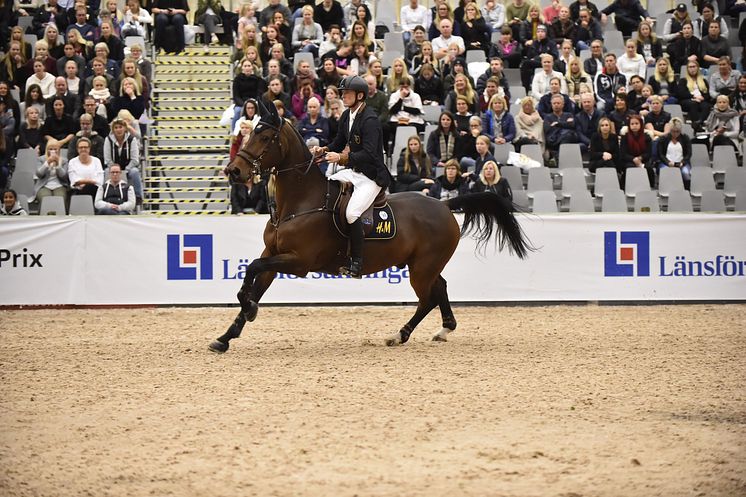 Elmia Scandinavian Horse Show