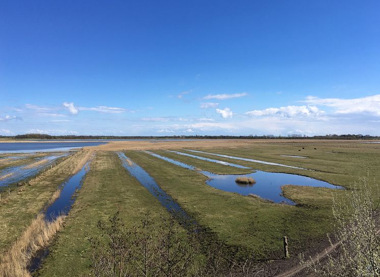 NABU Wasservogelreservat Wallnau