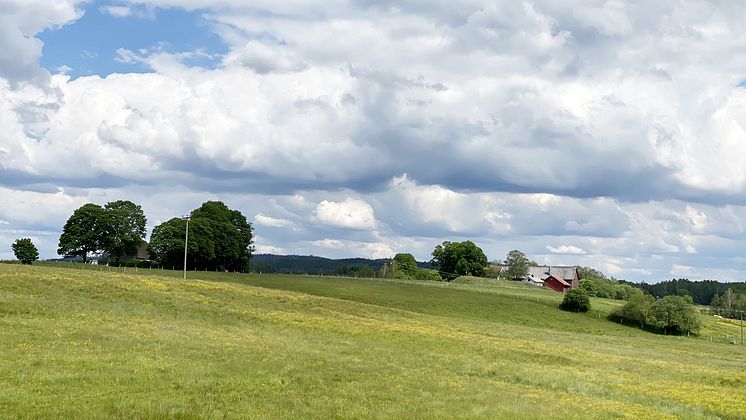 radararkitektur-jordbruksmark-