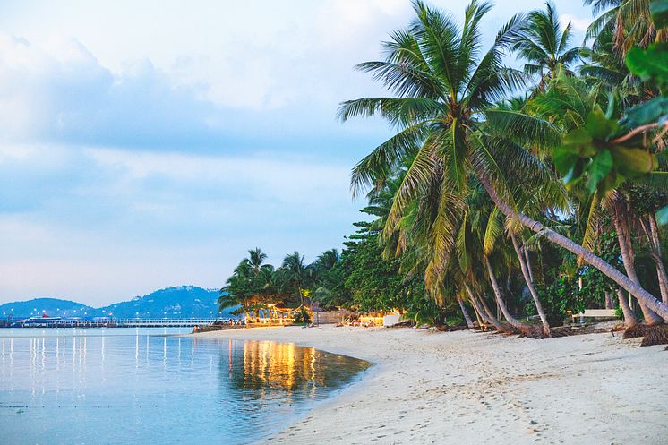 KohSamui_Beach_Evening.jpg