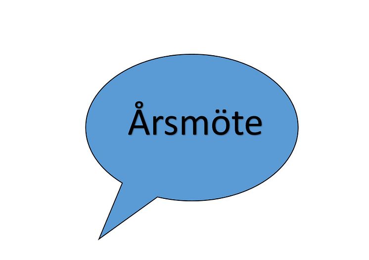 årsmöte