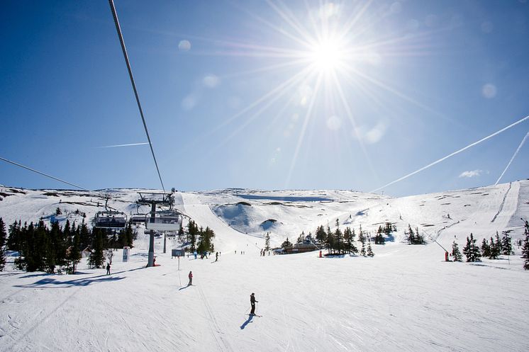 trysil_fjellroa