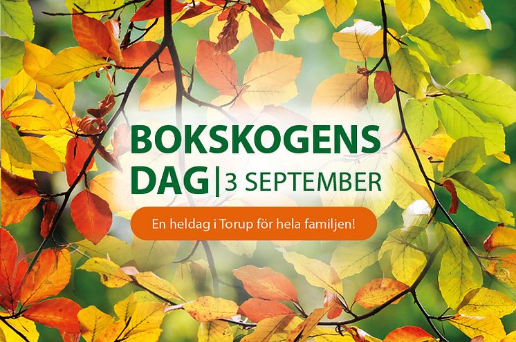 Bokskogens dag i Torup_1