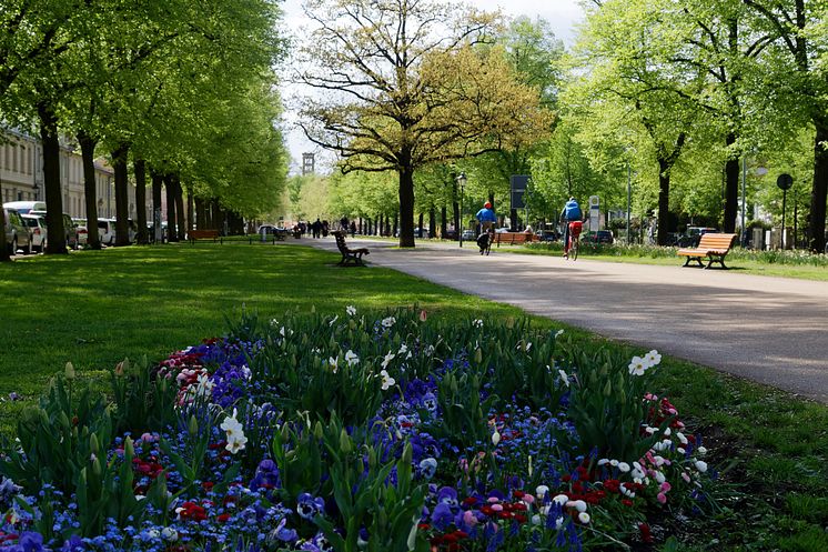 Frühling in Potsdam (c) PMSG André Stiebitz.jpg