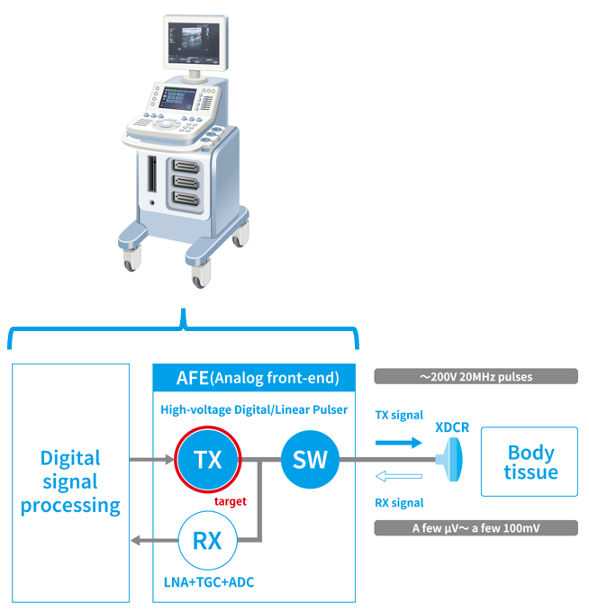 Ultrasound diagnostic equipment digital signal processing_EN.png