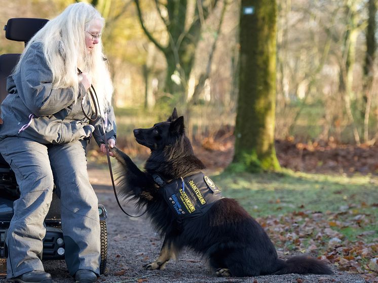 Årets Tjänstehund 2024 Gino med ägare Annika Bengtsson Foto Hanna Nilsson.jpg