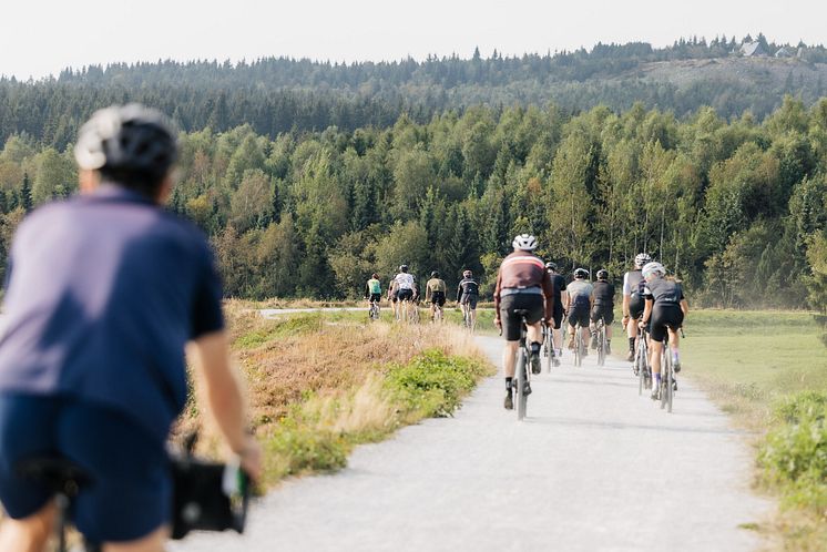 Gravel-Camp-Erzgebirge-2024©lifeCYCLEmedia-Martin-Donat-142.jpg
