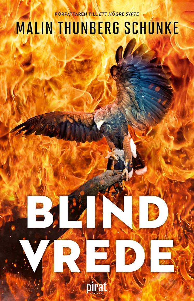 Blind vrede_omslag.jpg