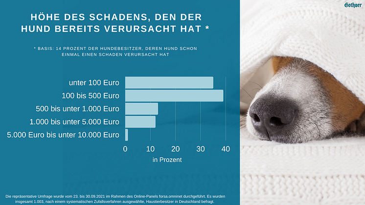 Höhe des Schadens durch Hund