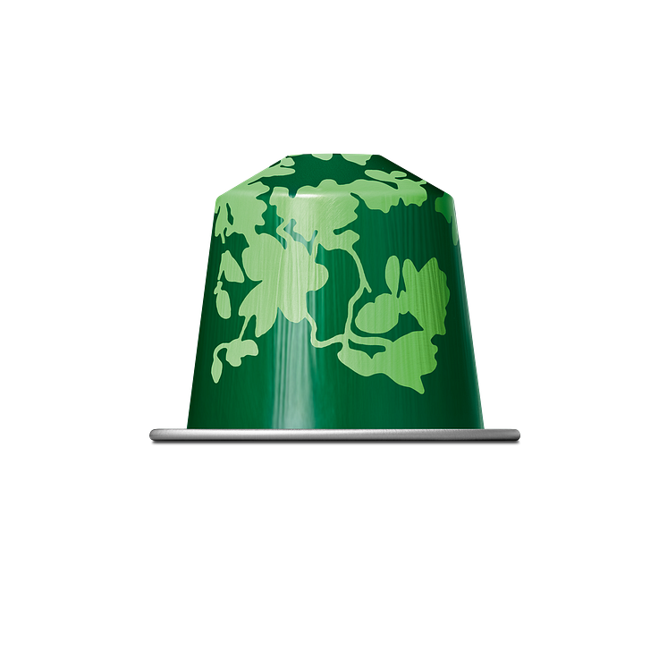 Festive_Forest_Black_Capsule_002.png