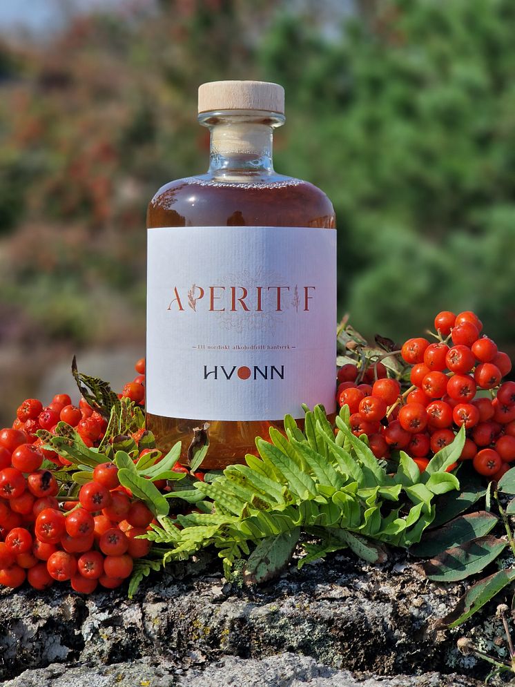 Hvonn aperitif alkoholfri (4).jpg