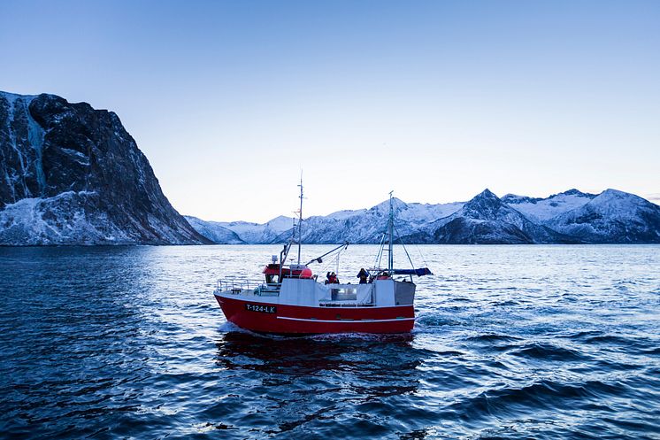 Skreifishing outside Gryllefjord