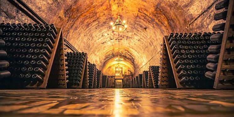 Wine cellar.jpg