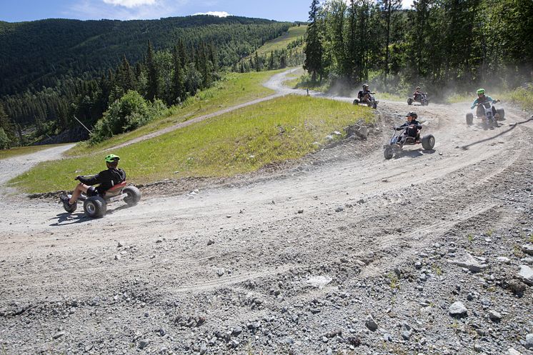 Hemsedal Mountain Cart